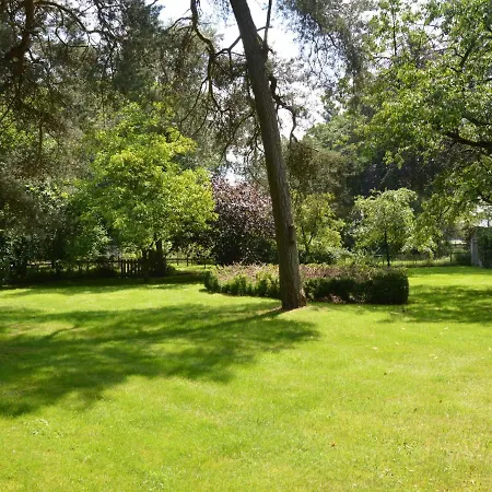 Vakantiehuis Cozy In With Forest Near *