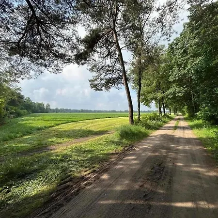 Cozy In With Forest Near Vakantiehuis