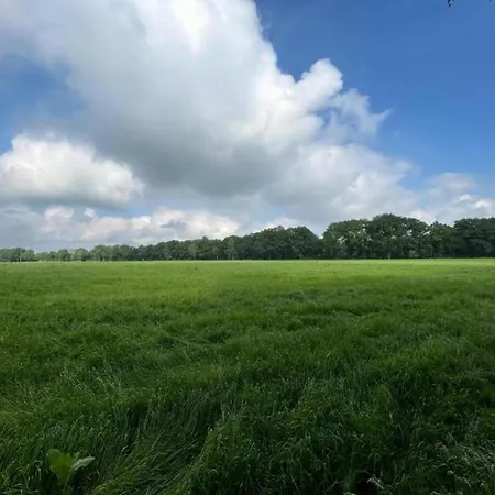 In With Garden * Zelhem