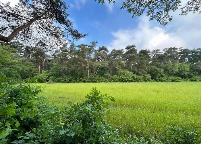 In With Garden בית נופש זלהם