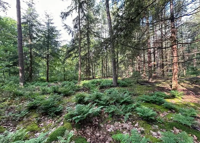 In With Garden * זלהם