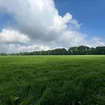 In With Garden * Зелхем