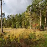 In With Garden Дом отдыха