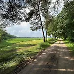 In With Garden * Зелхем