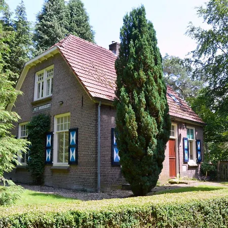Cozy In With Forest Near Holiday home