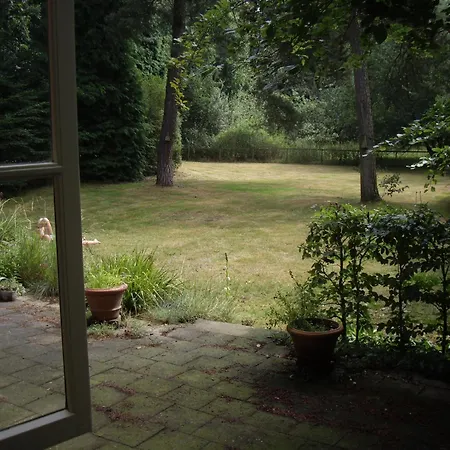 Vakantiehuis Cozy In With Forest Near
