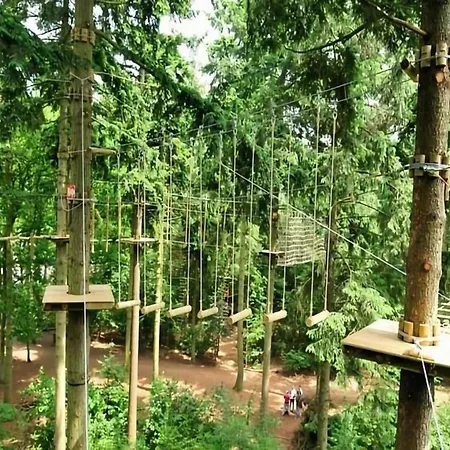 Cozy In With Forest Near Holiday home Zelhem