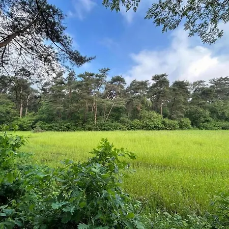 Holiday home Cozy In With Forest Near Zelhem
