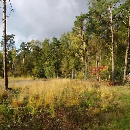 Cozy In With Forest Near Zelhem