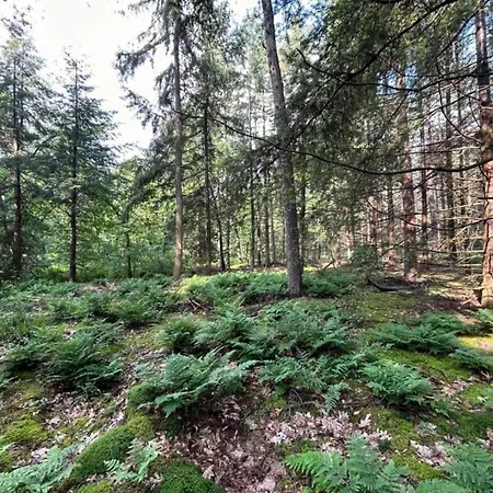 Holiday home Cozy In With Forest Near *