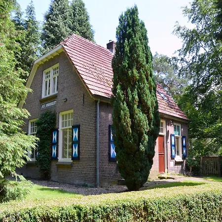 In With Garden