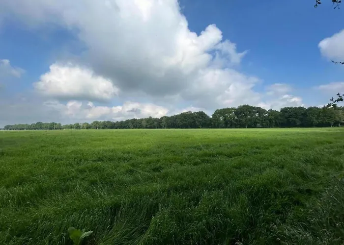 In With Garden * Zelhem