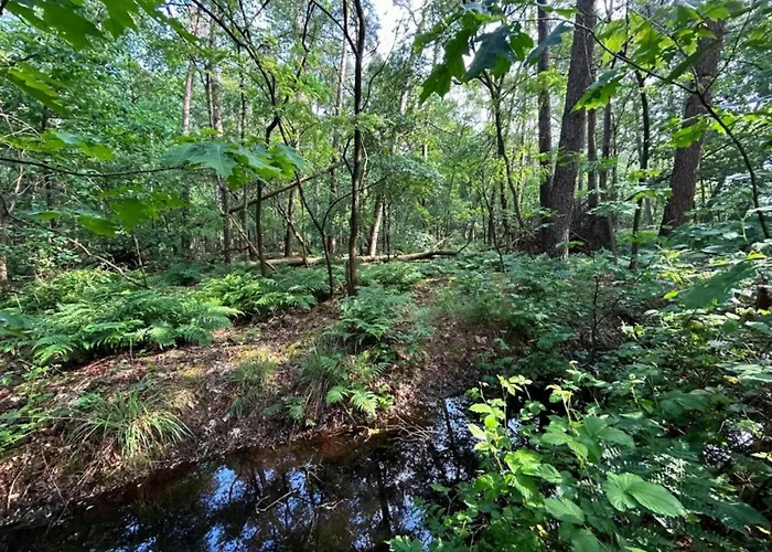 In With Garden * Zelhem