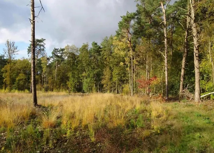 In With Garden Vakantiehuis